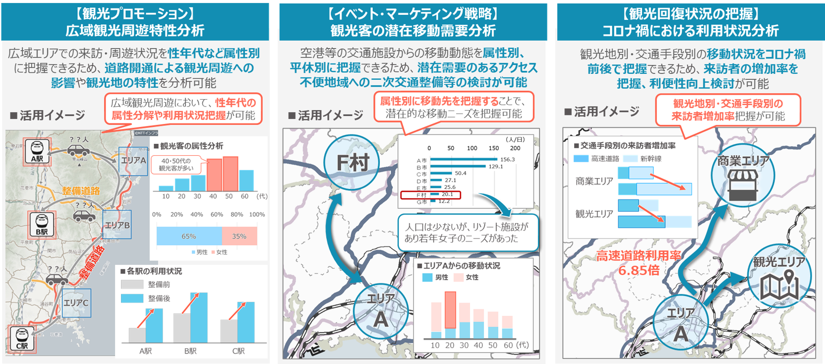 観光分野